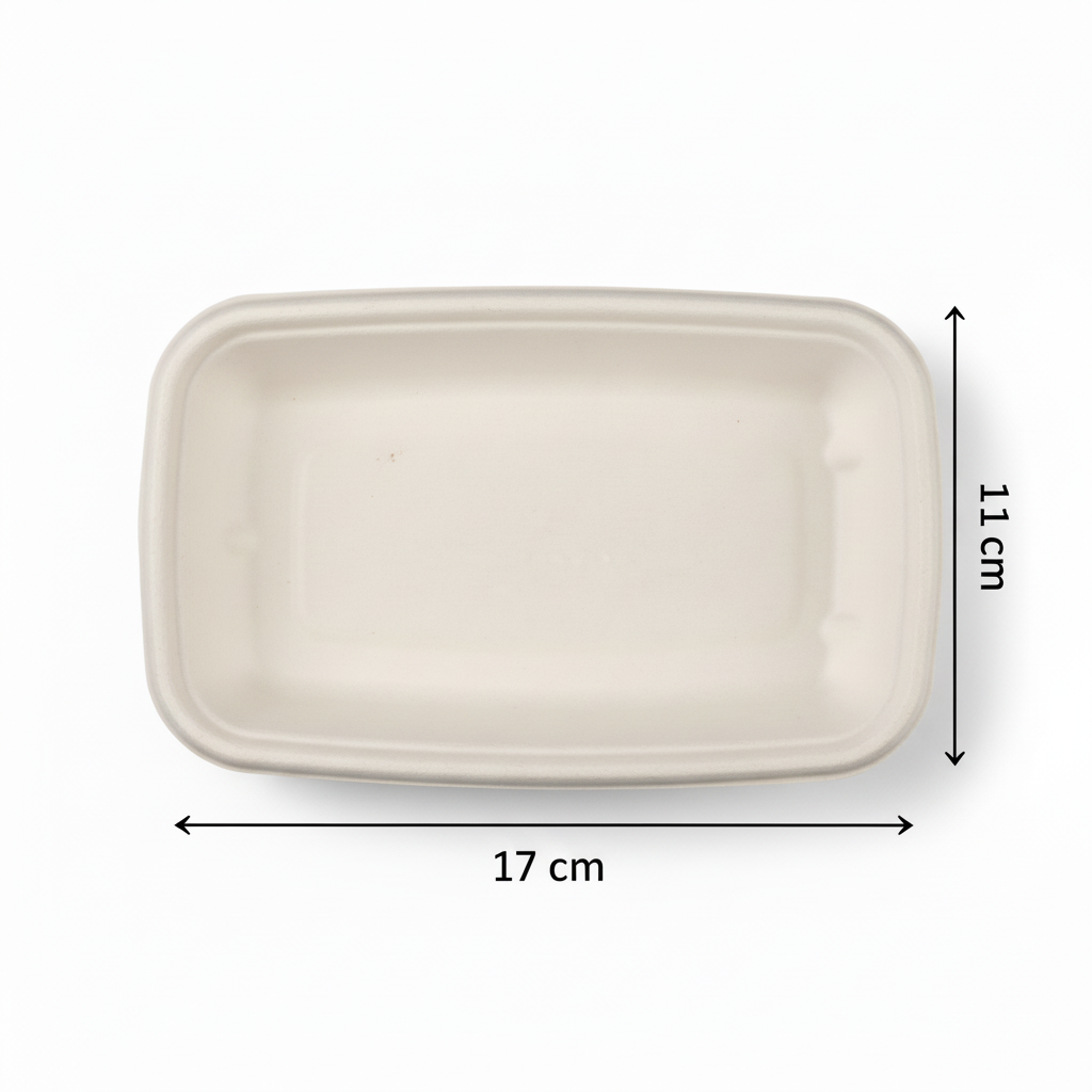 17cm x 11cm Sugarcane Rectangular Bowl