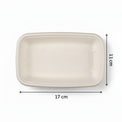 17cm x 11cm Sugarcane Rectangular Bowl