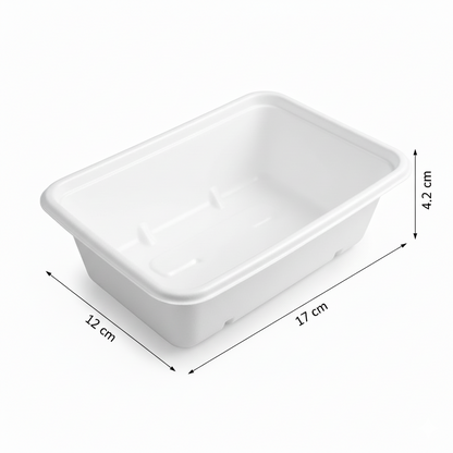 17cm x 12cm Sugarcane Rectangular Container