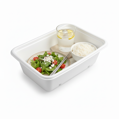17cm x 12cm Sugarcane Rectangular Container