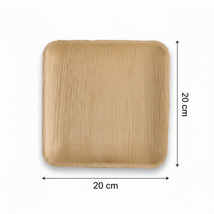 20cm Shallow Palm Leaves Square Plate