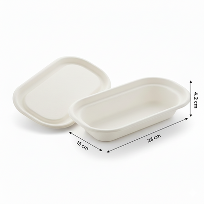 23cm x 13cm Sugarcane Oval Container with Lid