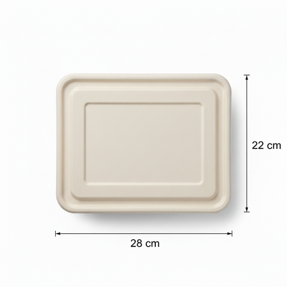 28cm x 22cm 5 compartment Sugarcane Rectangular Lid