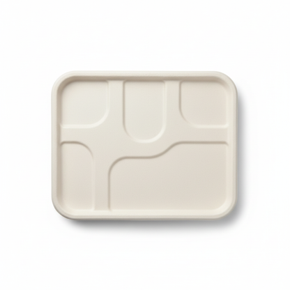 30cm x 25cm 5 compartment Sugarcane Rectangular Lid